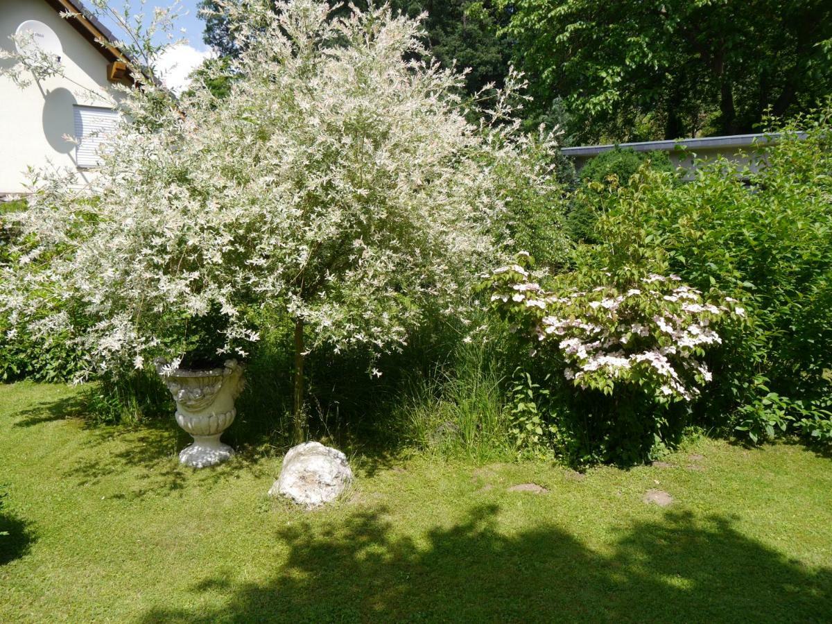 Ferienwohnung Keiner Wassenach Exterior foto